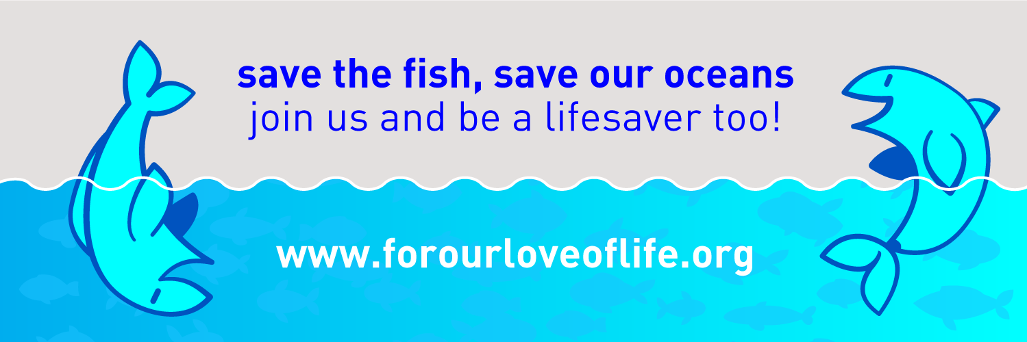 Ocean Foundation banner