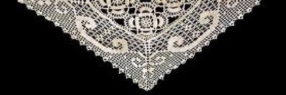 sapienslerden's profile banner image