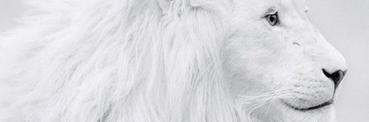 abc0903hien's profile banner image
