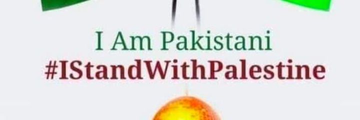 sadia_tabassum's profile banner image