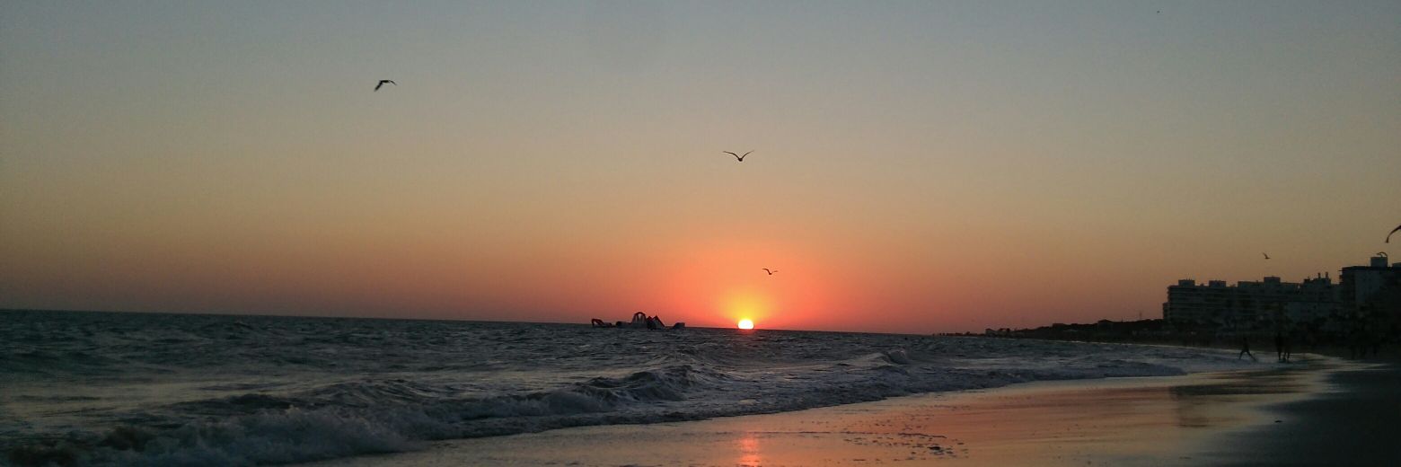 SandraMF2's profile banner image