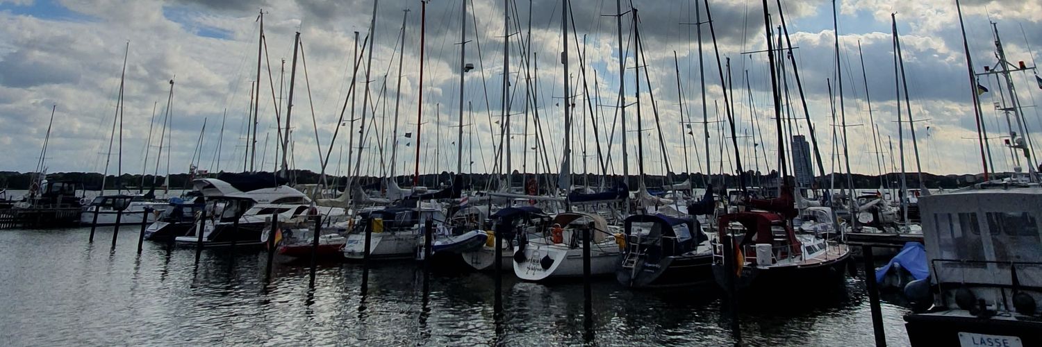 SandraSimonsen1's profile banner image