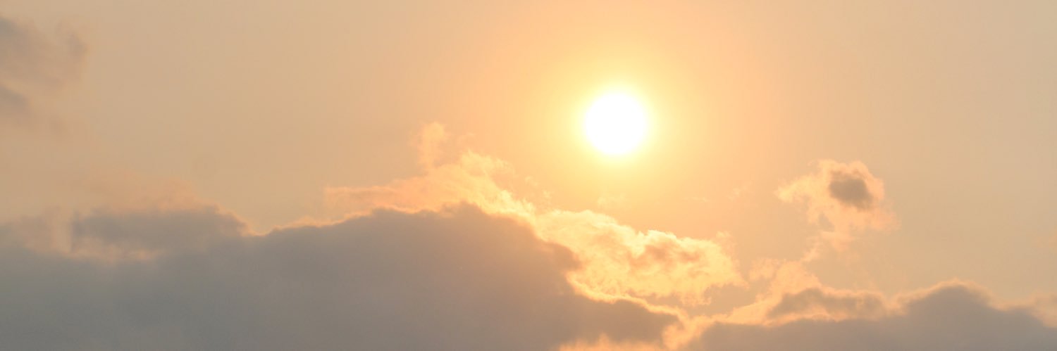 Kelly Nicol💙💛🇺🇦 banner