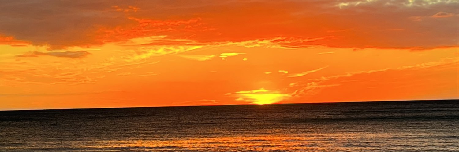 LorraineZiff's profile banner image