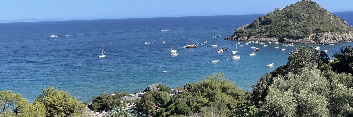 Monicamondo's profile banner image