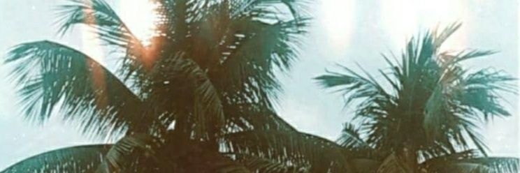 natarl11's profile banner image