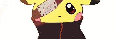 Fluffy pichu banner