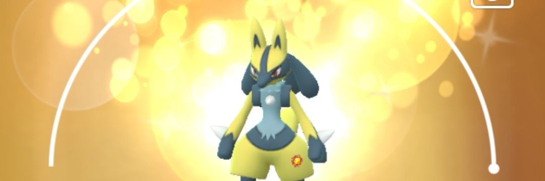 mimitos's profile banner image