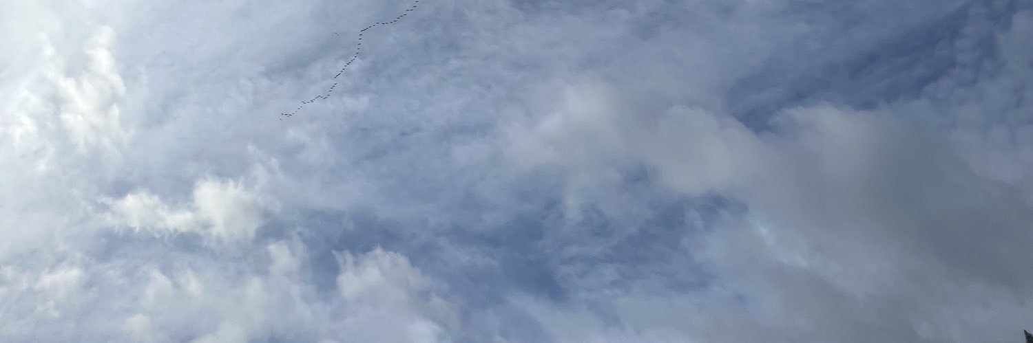 ChadTalach's profile banner image