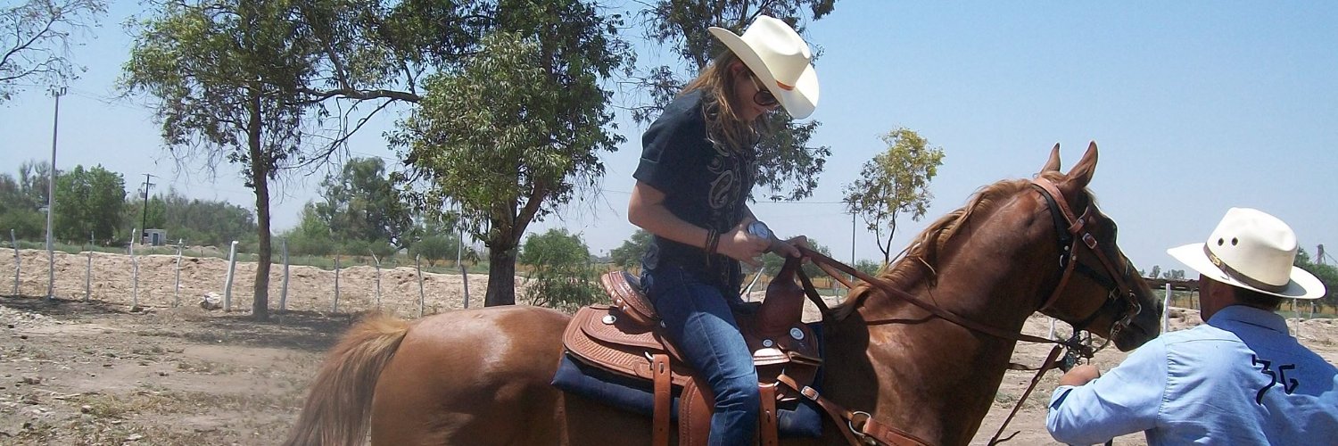 sylviaapaz's profile banner image