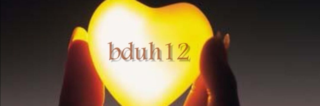 bduh12's profile banner image