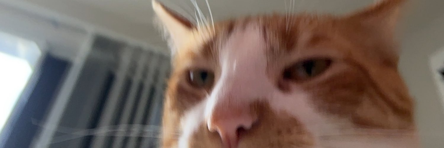 bri3fkase's profile banner image