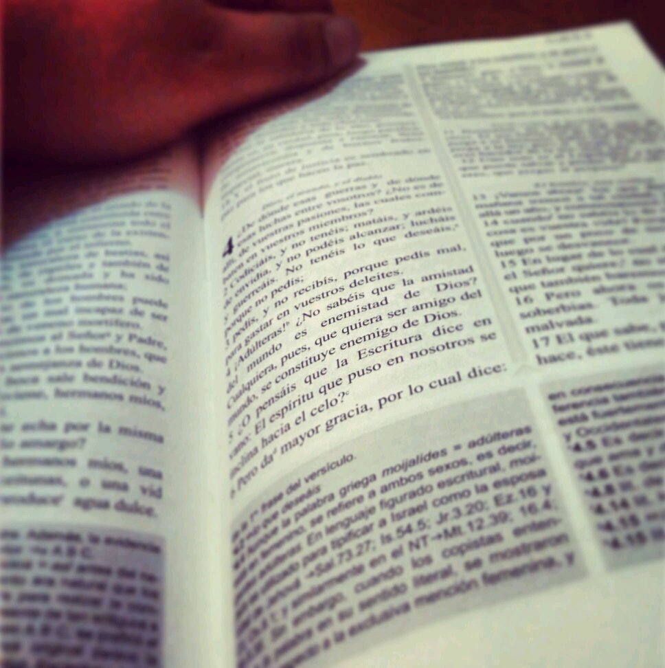 Alix Goitia #Alix banner