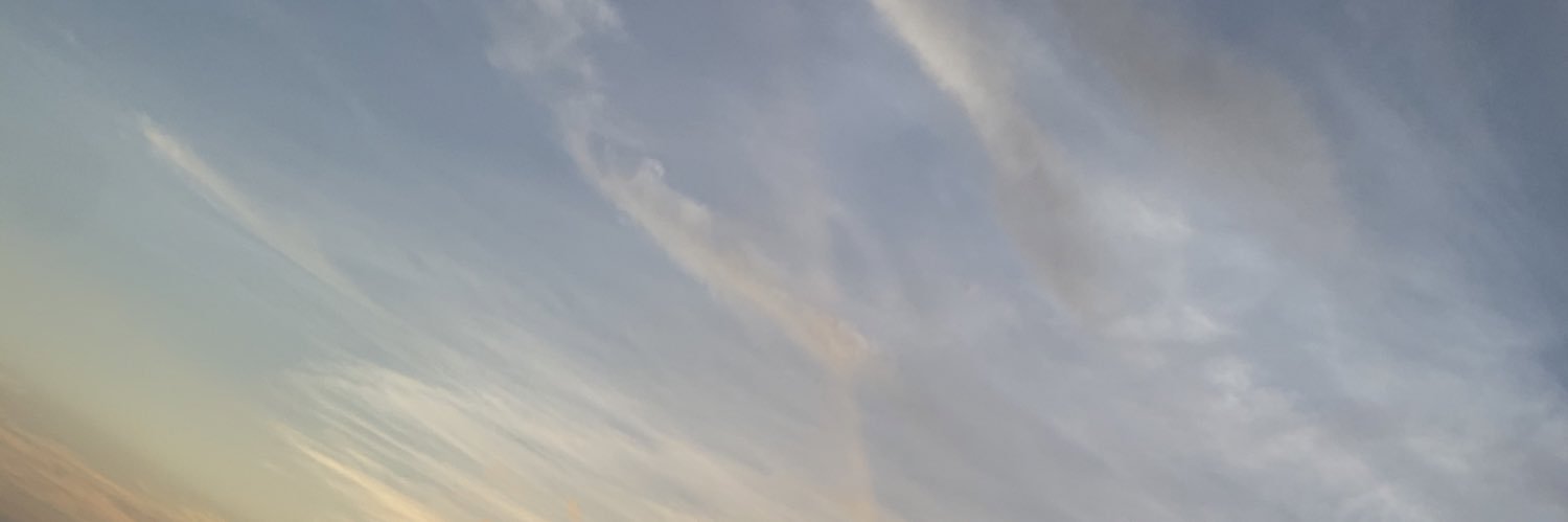BurressAnna's profile banner image