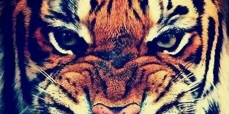 HNiiang's profile banner image