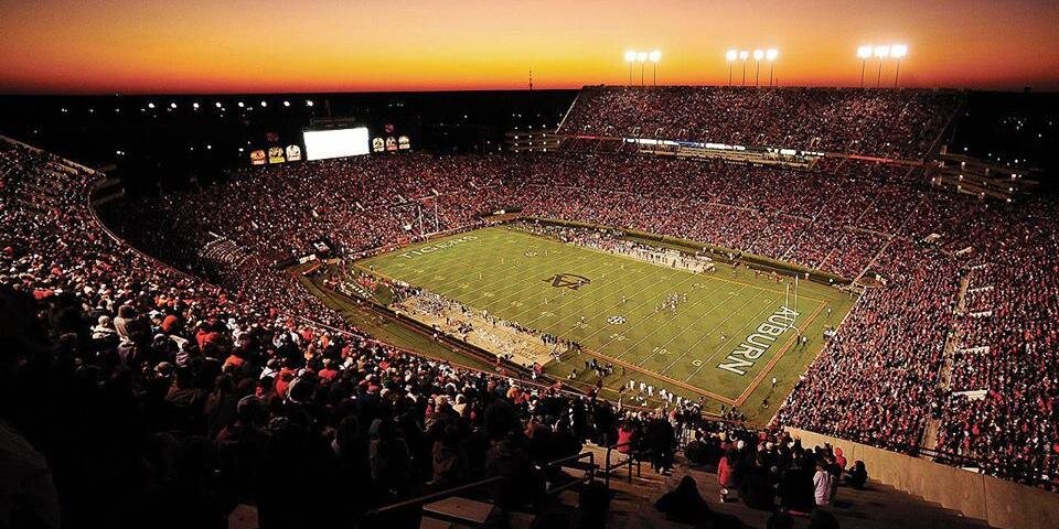 Sabra Rochell banner