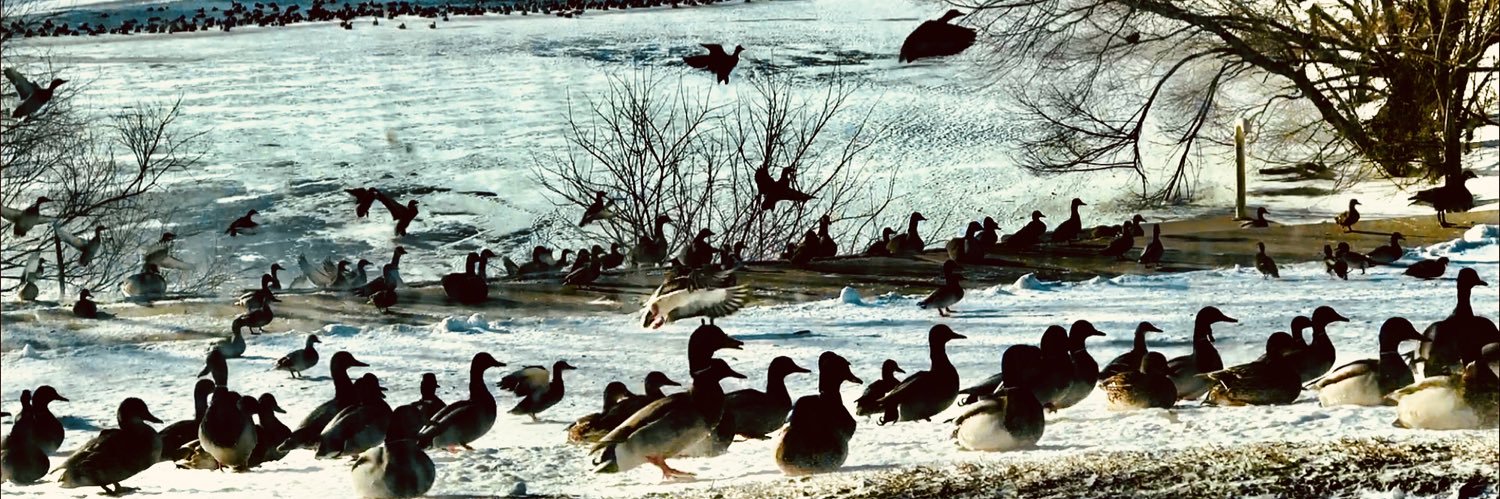 markagoal's profile banner image