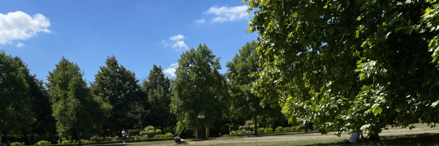 bloody_cracking's profile banner image