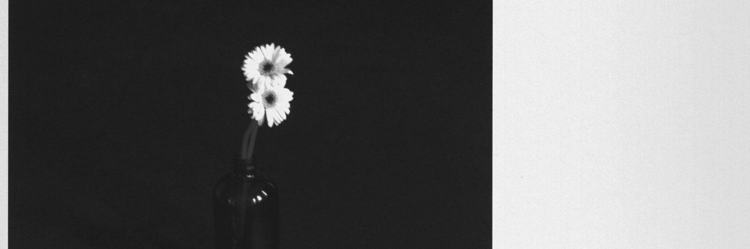 MikeDunton's profile banner image