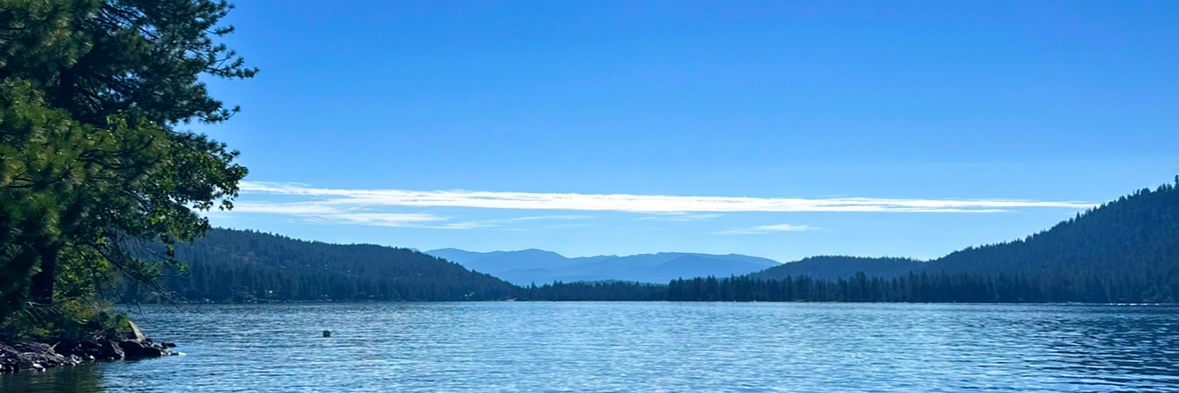 SWilsey11's profile banner image