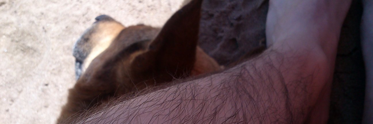 Johntsrg's profile banner image