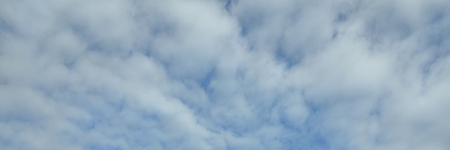 songulkrdmn's profile banner image