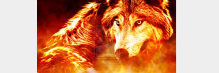 spicymeat007's profile banner image