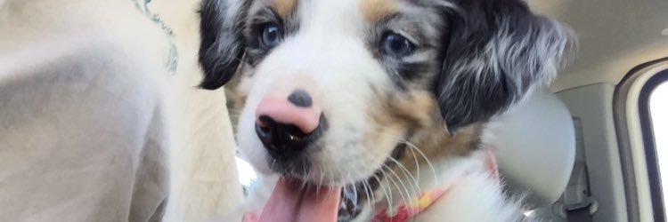 hmorganl's profile banner image