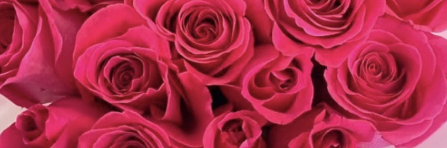 floresvero7's profile banner image
