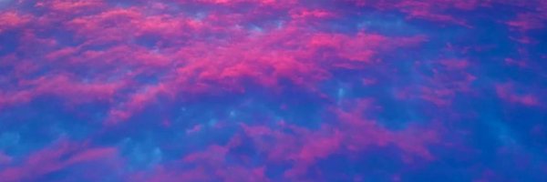 doc_ancora Profile Banner