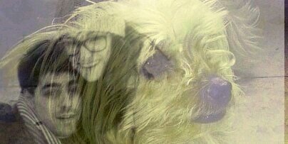 AfonsoTami's profile banner image