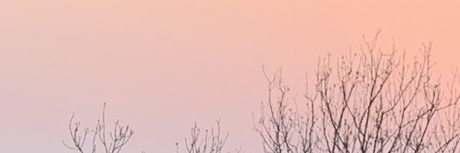 xorx_p's profile banner image