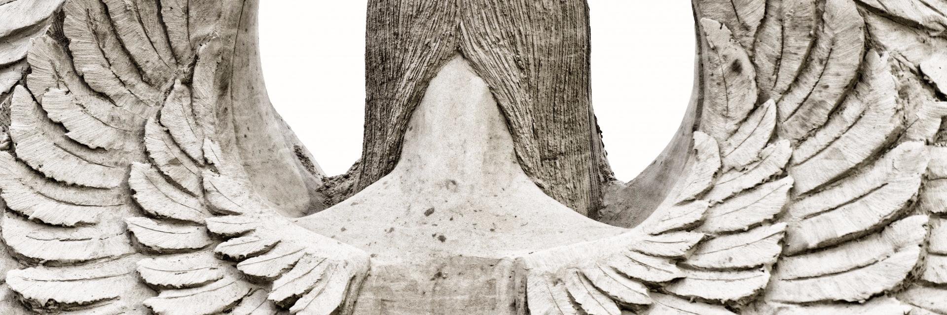 Plusmm 🏳️‍🌈 banner