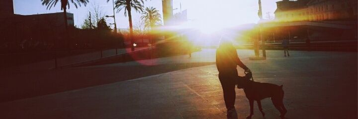Alday1995's profile banner image