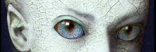 Sharon Chancer banner