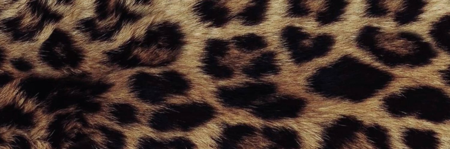 hvenlyy's profile banner image