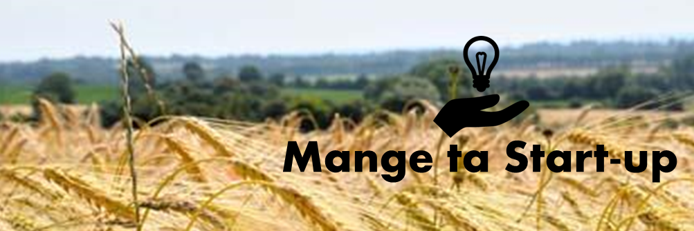 MangetaStartup's profile banner image
