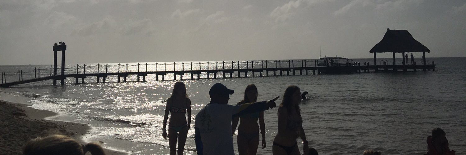 syd_taylorM's profile banner image