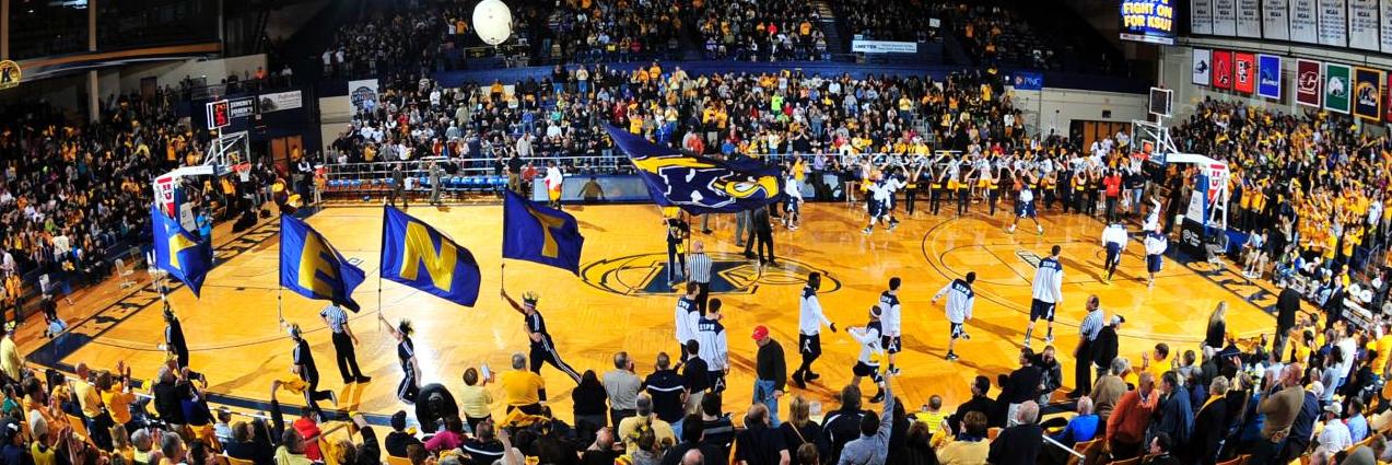 Golden_Flashes's profile banner image