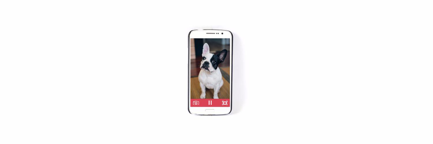BestPetCam's profile banner image