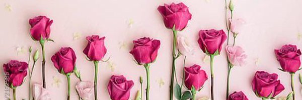 AshCheyenne17 Profile Banner