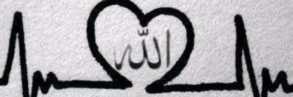 عاشق ارسنالي banner