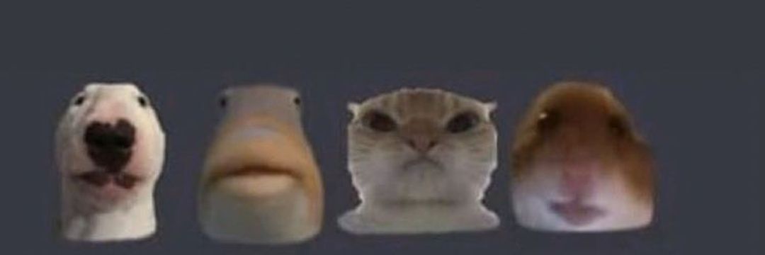 Natty_James's profile banner image