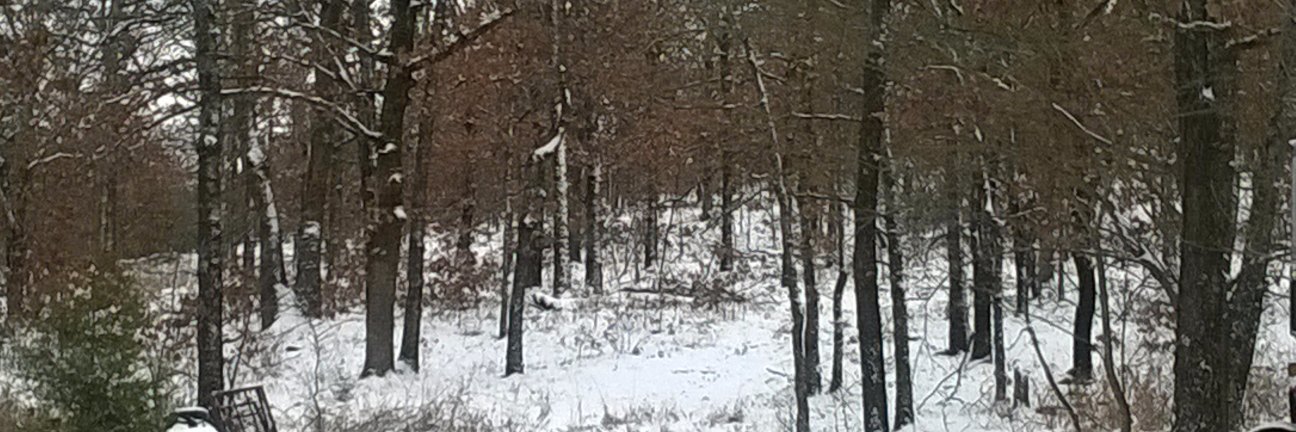 cbdoc225's profile banner image