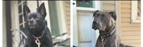 Bsin11 Profile Banner