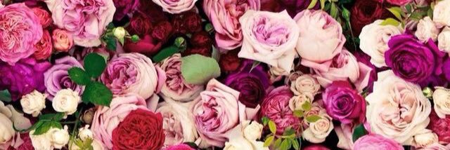emmilylee3's profile banner image