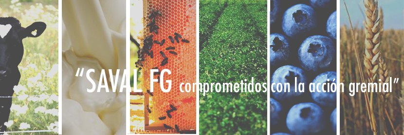 SAVAL F.G. banner