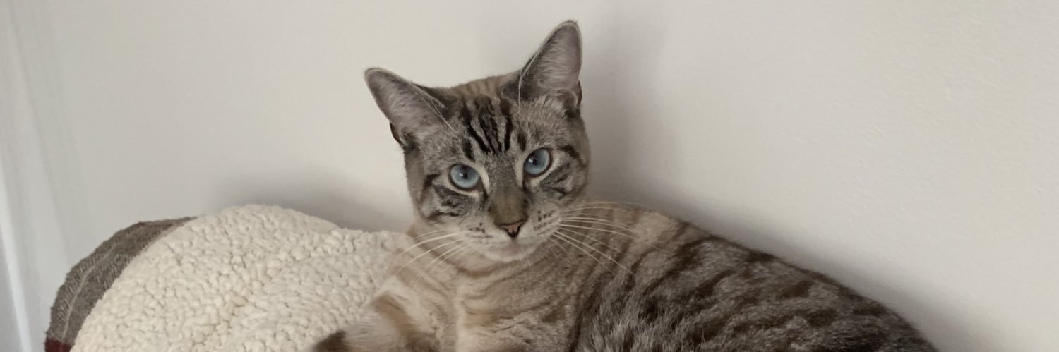 Becca Roberts banner