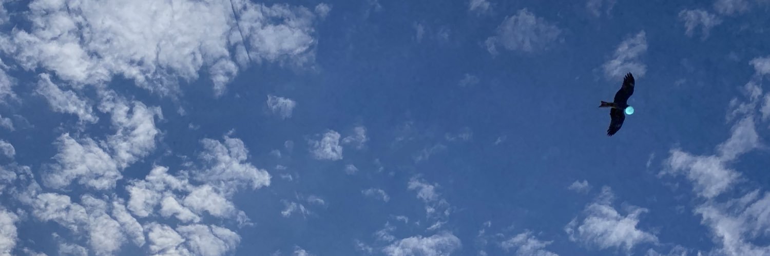 R__c92's profile banner image