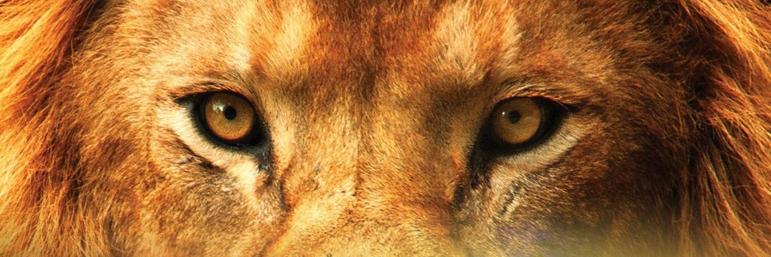 javirueda20's profile banner image
